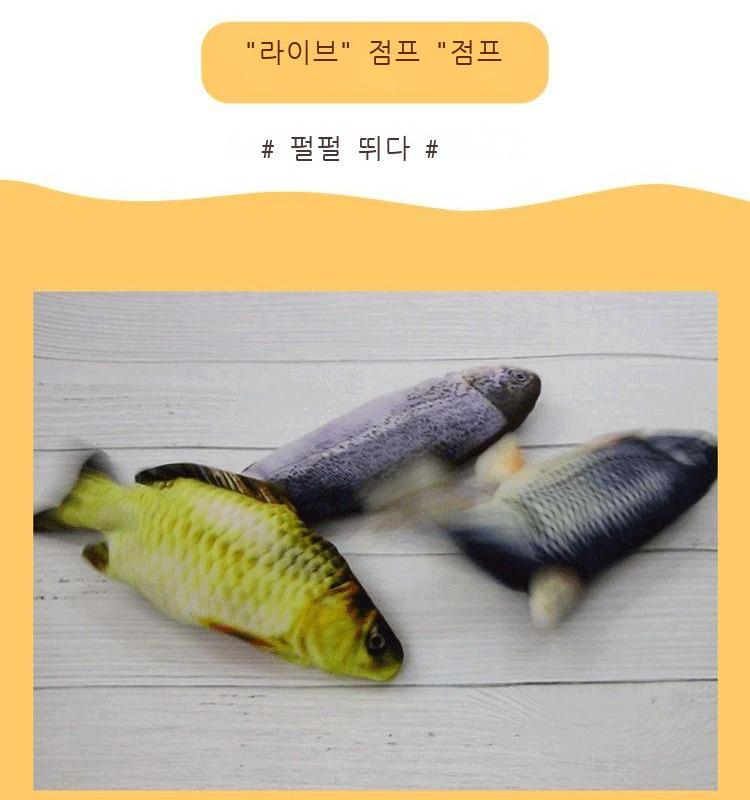 전기어는 고양이를 놀리며 물고기가 뛰는 물고기를 흉내낸다No.1423
