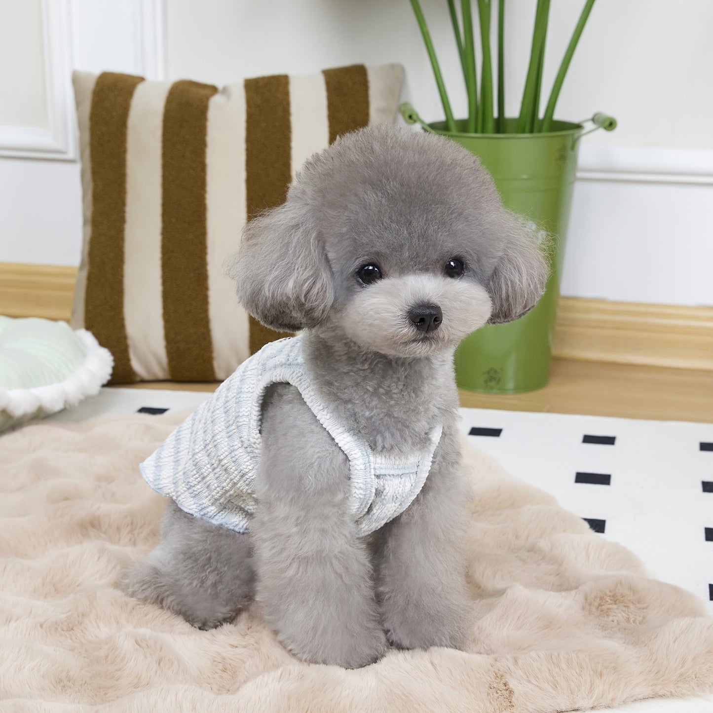 귀여운 "안녕하세요" 자수 애완동물 조끼 - 가벼우며 통기성이 좋은 니트 풀오버 소형 개 및 고양이용, 손세탁만, 봄과 여름에 완벽합니다.No.3264