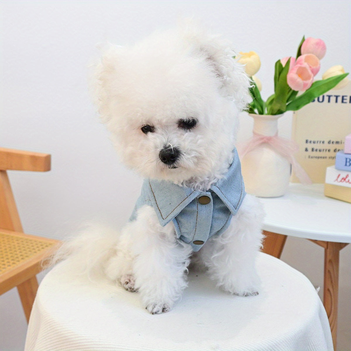 고양이 옷 패션 캐주얼 민소매 조끼 재킷 강아지 의류 편안한 원단 하네스 세트No.3247
