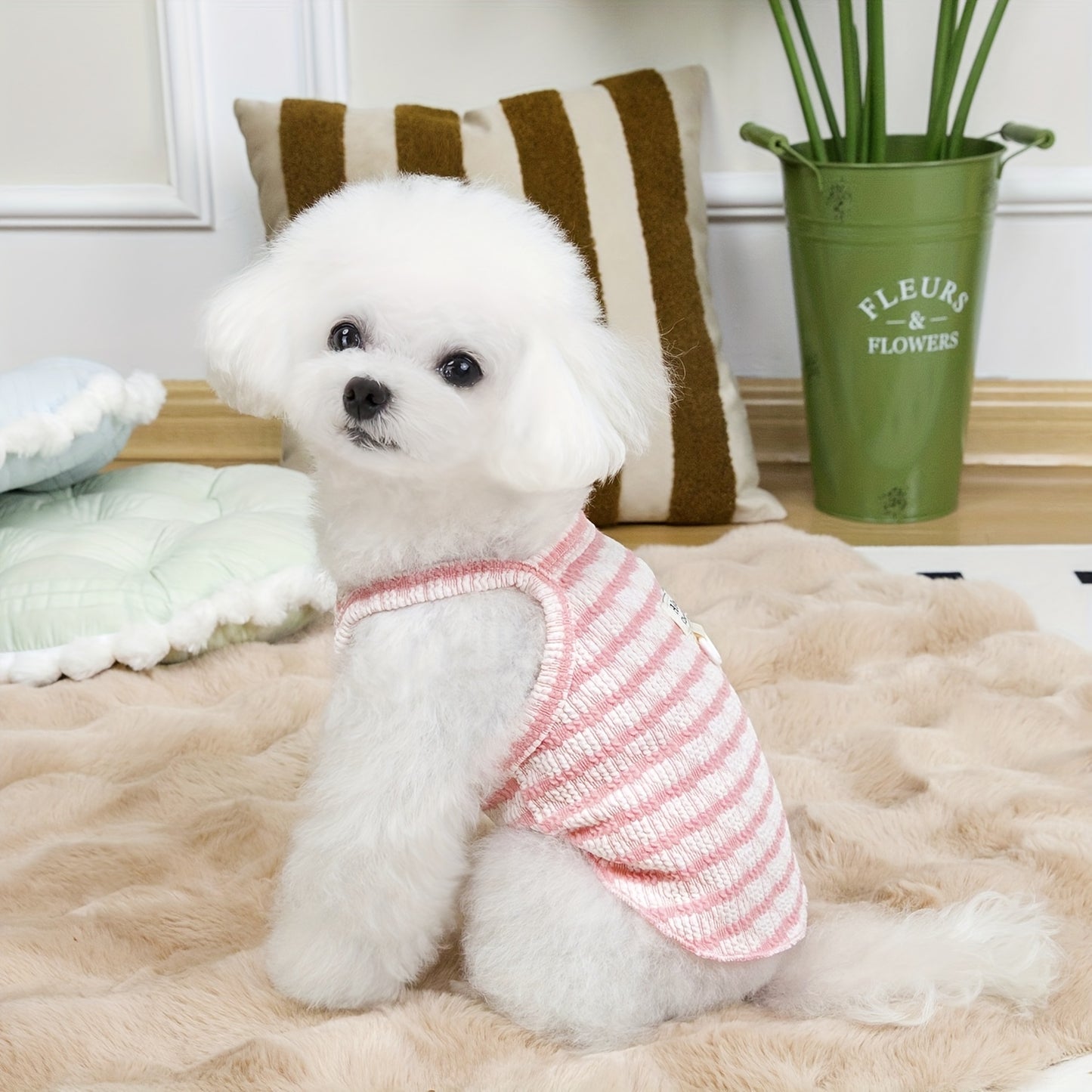 귀여운 "안녕하세요" 자수 애완동물 조끼 - 가벼우며 통기성이 좋은 니트 풀오버 소형 개 및 고양이용, 손세탁만, 봄과 여름에 완벽합니다.No.3264