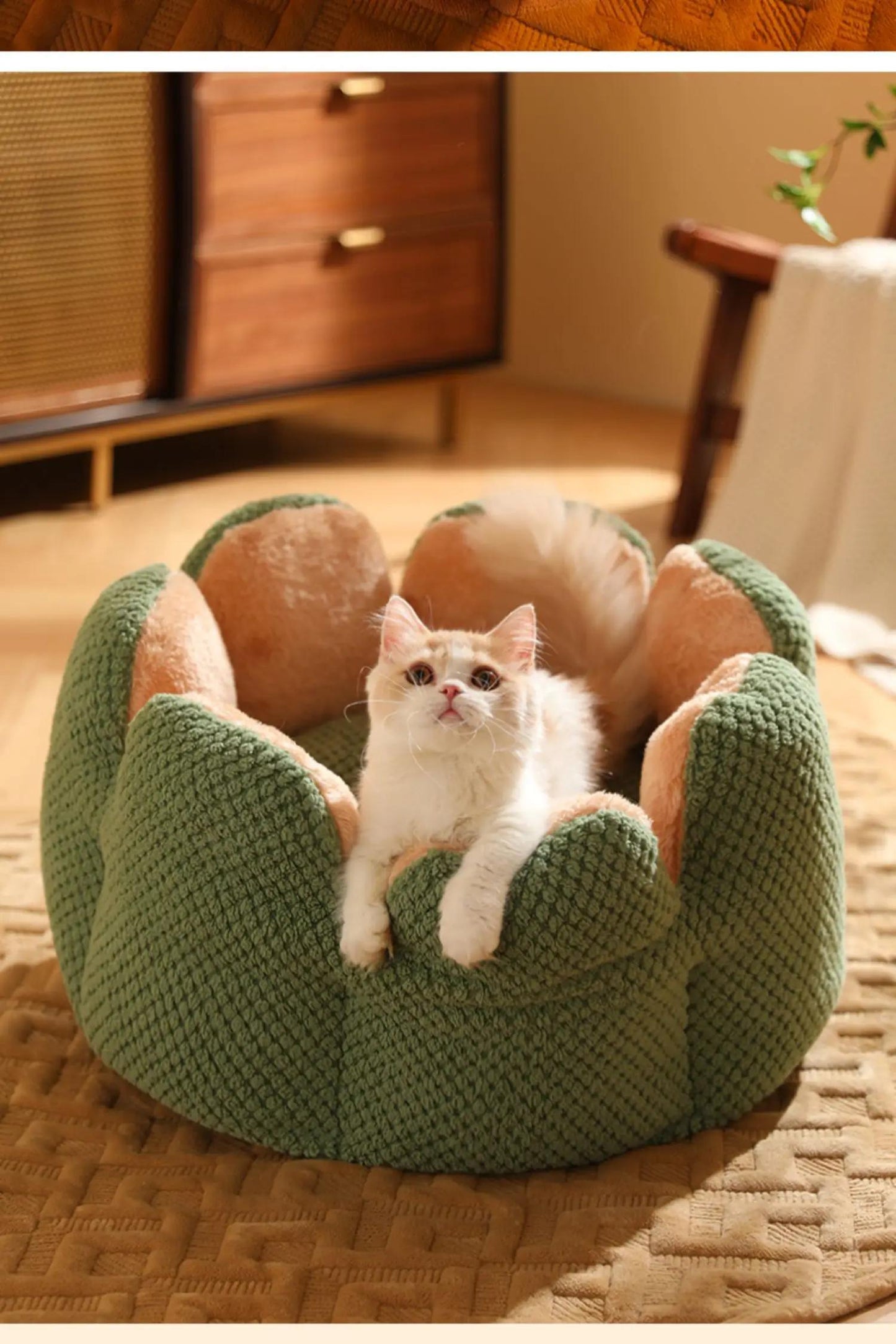 편안한 플러시 꽃잎 모양 고양이 침대 - 부드럽고 따뜻한 둥근 쿠션 매트, 새끼 고양이 & 강아지용, 녹색 니트 질감, 폴리에스테르 충전 - 겨울용 완벽한 편안함, 아늑한 애완동물 쿠션|꽃잎 모양 침대|편안한 애완동물 침대, 고양이용 애완동물 침대No.3135
