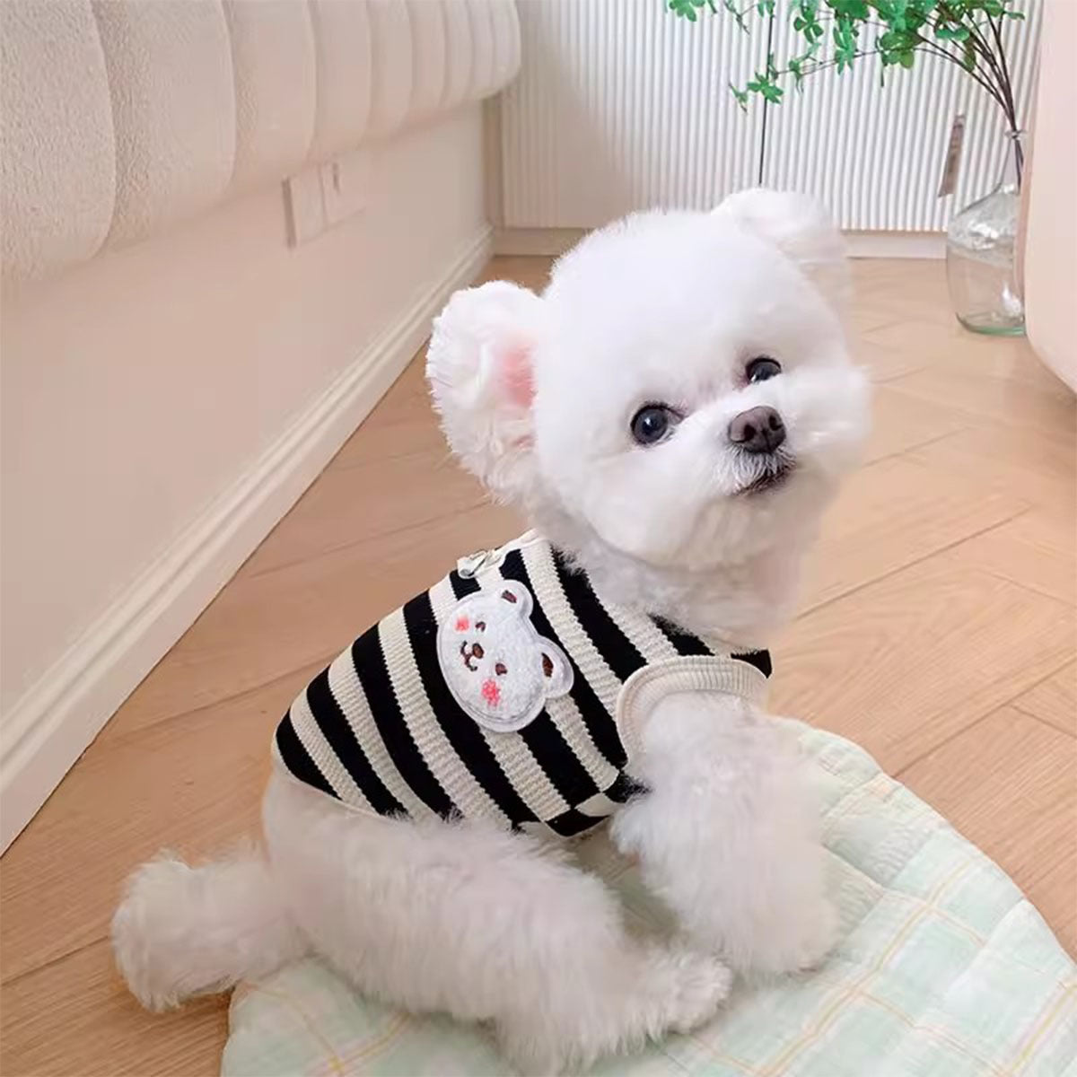 소형견용 스트라이프 풀오버 조끼 - 봄/여름 컬렉션, 링이 달린 니트 폴리에스터 원단, 반려동물 의류 신상품No.3256