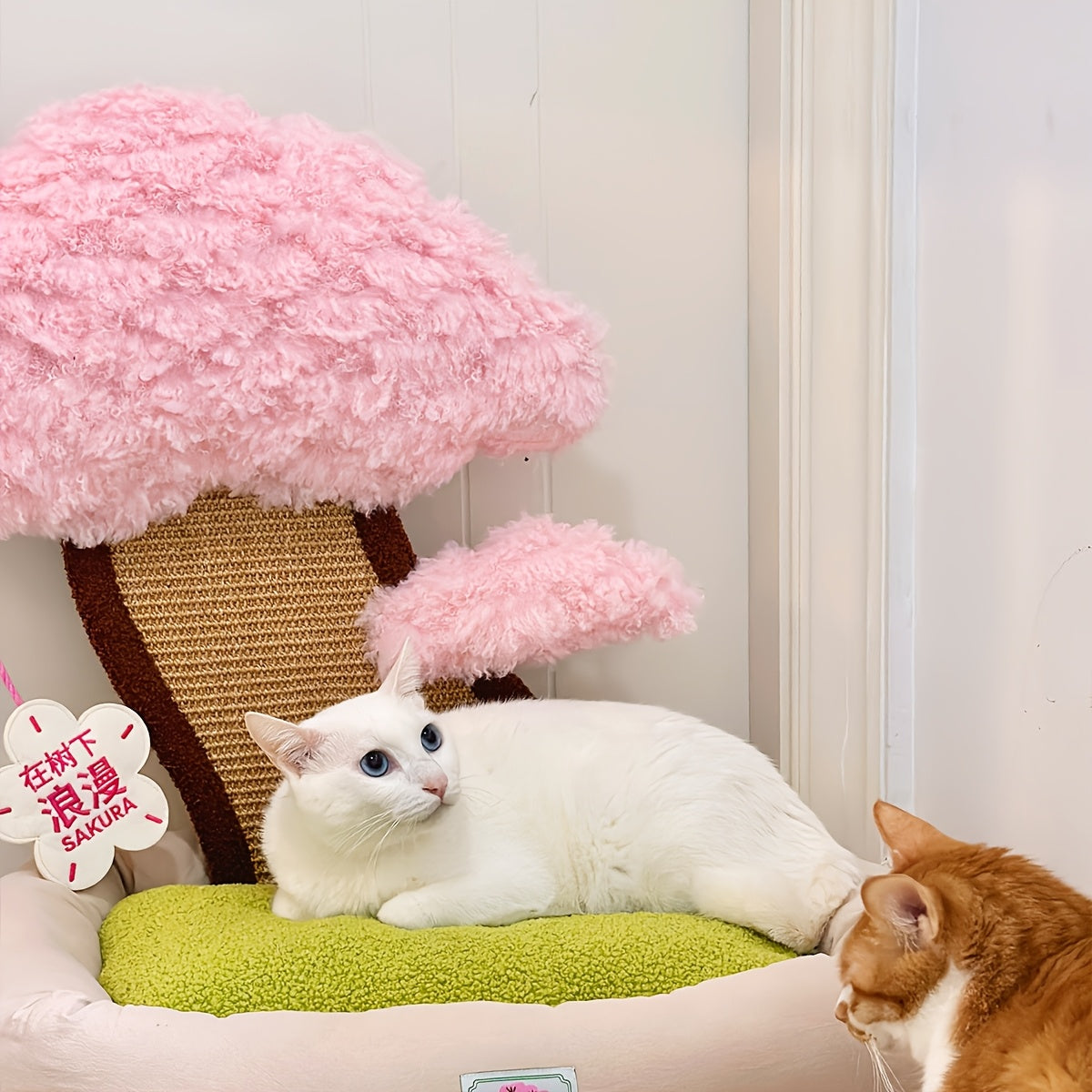 고전적인 폴리에스터 고양이 집 및 콘도 - 충전되지 않은, 조립된, 독특한 미니멀리스트 고양이 침대, 통합된 긁는 포스트, 편안한 애완 동물 매트, 고양이에게 이상적인 생일 선물No.3194