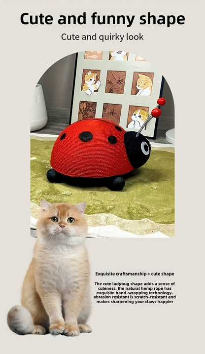 고양이 스크래치 보드 거북이 고양이 장난감 검 잔디 내마모성 비털 없음 무당벌레 벌 안티 스크래치 소파 작은 고양이 스크래처No.3186