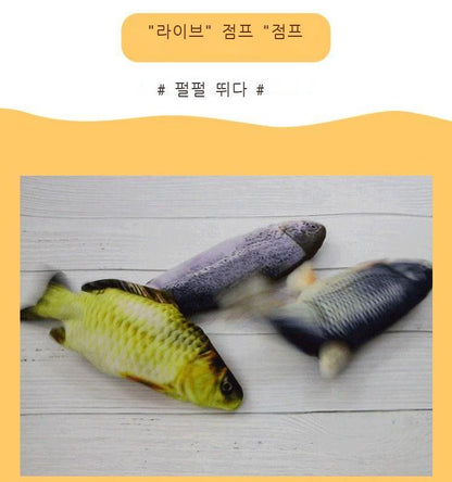 전기어는 고양이를 놀리며 물고기가 뛰는 물고기를 흉내낸다No.1423