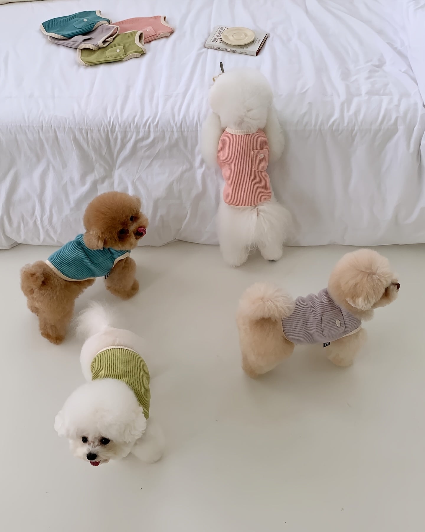 포켓이 있는 부드럽고 통기성 좋은 니트 애완동물 조끼 - 작은부터 중형견까지의 귀여운 여름용 개와 고양이 탱크탑 - 쉬운 풀오버 디자인, 버튼 클로저 - 연두색, 파랑, 핑크, 보라, 베이지 - 세탁기 사용 가능, 중형견 탱크탑 | 스타일리시한 애완동물 의상 | 부드러운 니트 원단, 애완동물 옷No.3236