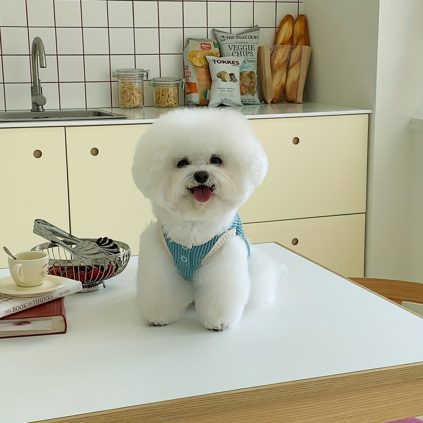 포켓이 있는 부드럽고 통기성 좋은 니트 애완동물 조끼 - 작은부터 중형견까지의 귀여운 여름용 개와 고양이 탱크탑 - 쉬운 풀오버 디자인, 버튼 클로저 - 연두색, 파랑, 핑크, 보라, 베이지 - 세탁기 사용 가능, 중형견 탱크탑 | 스타일리시한 애완동물 의상 | 부드러운 니트 원단, 애완동물 옷No.3236