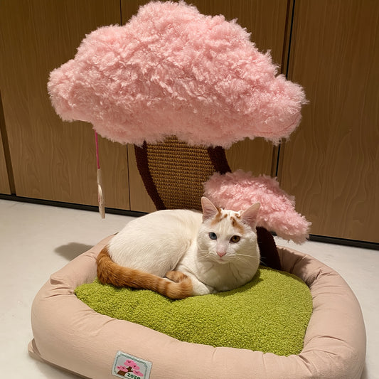 고전적인 폴리에스터 고양이 집 및 콘도 - 충전되지 않은, 조립된, 독특한 미니멀리스트 고양이 침대, 통합된 긁는 포스트, 편안한 애완 동물 매트, 고양이에게 이상적인 생일 선물No.3194